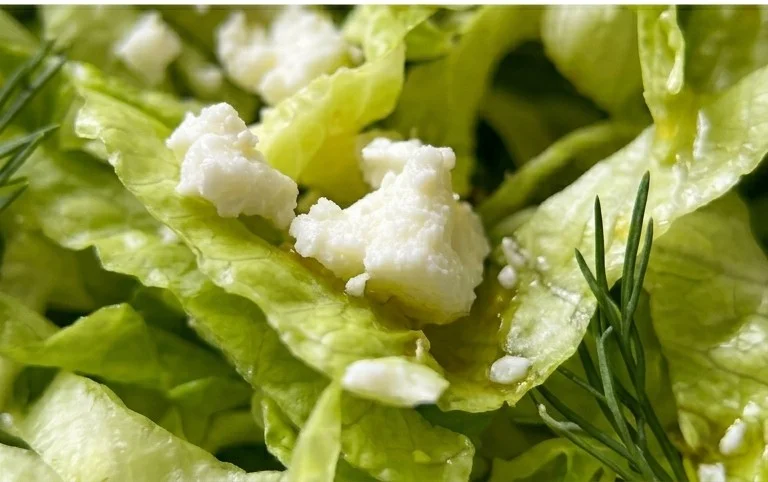 Maroulosalata (Greek Lettuce Salad)